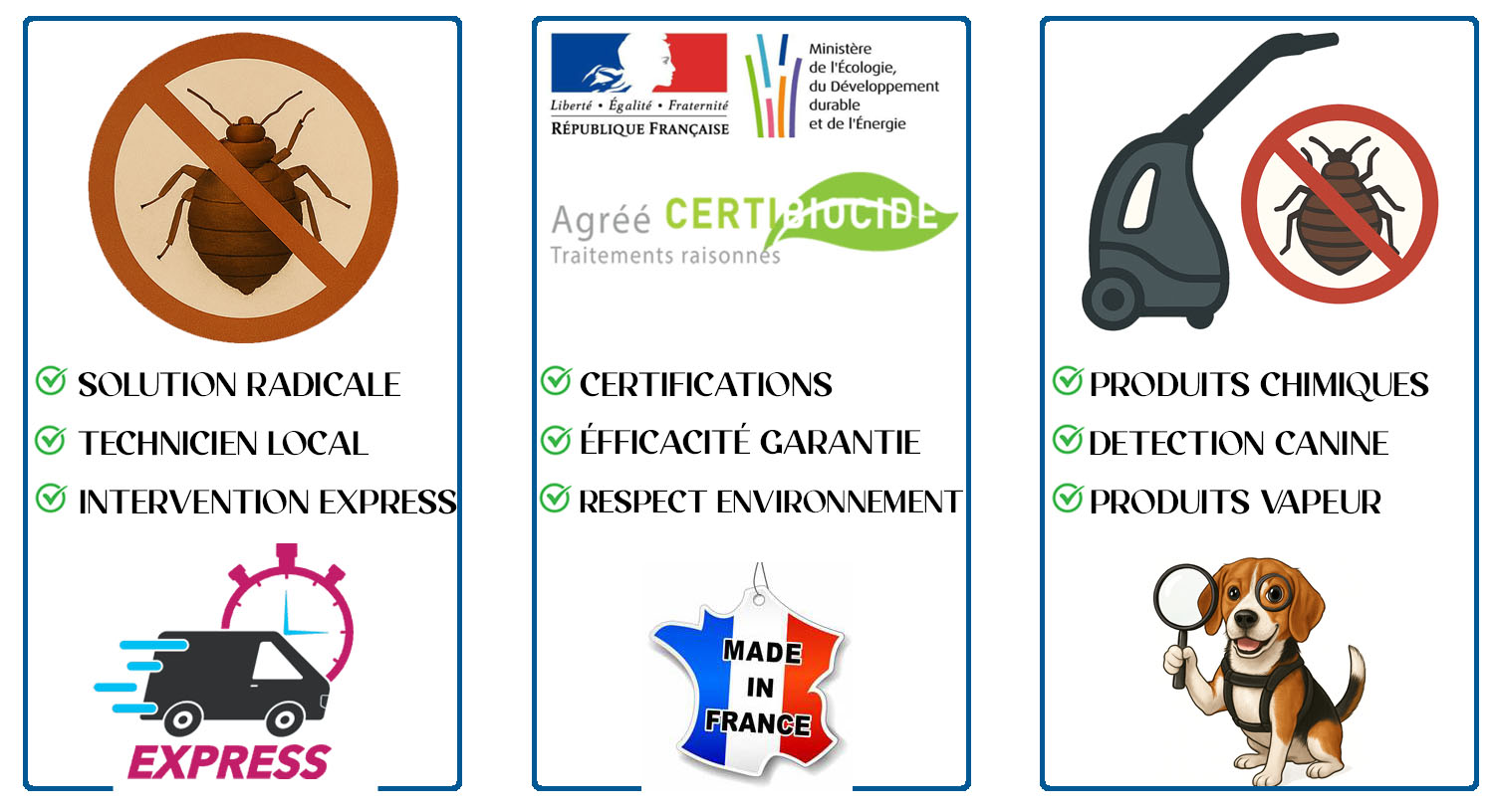 Punaises de Lit Arcueil